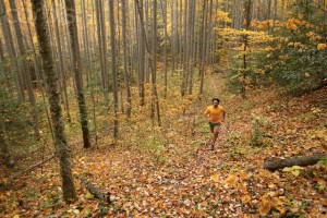Man running in the woods in autumn